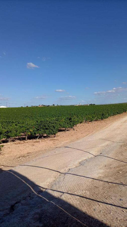 Alojamiento Rural Casa Los Arenales Κόρδοβα Εξωτερικό φωτογραφία